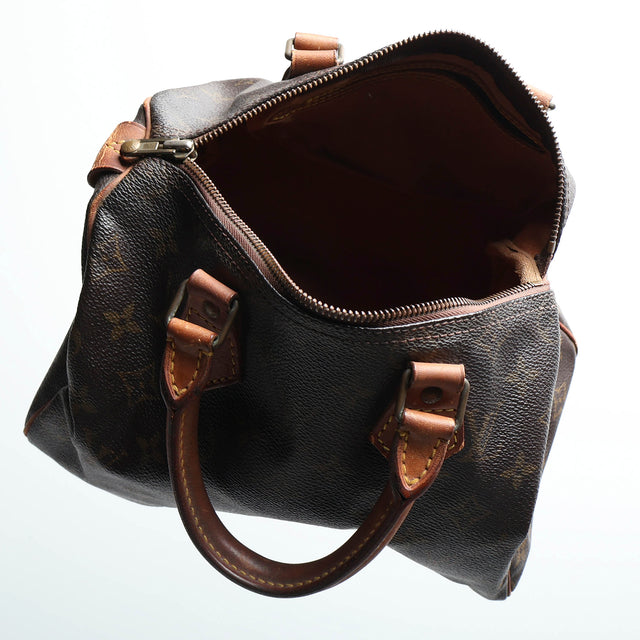 LOUIS VUITTON SPEEDY 25