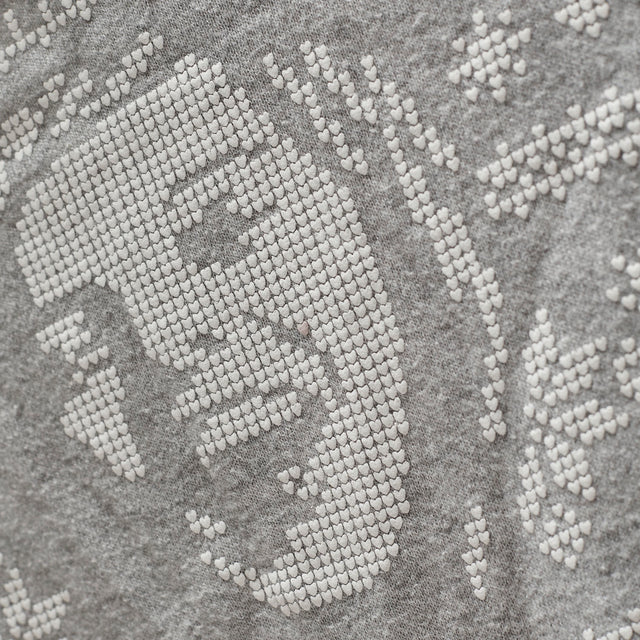 HYSTERIC GLAMOUR ZIP HOODIE