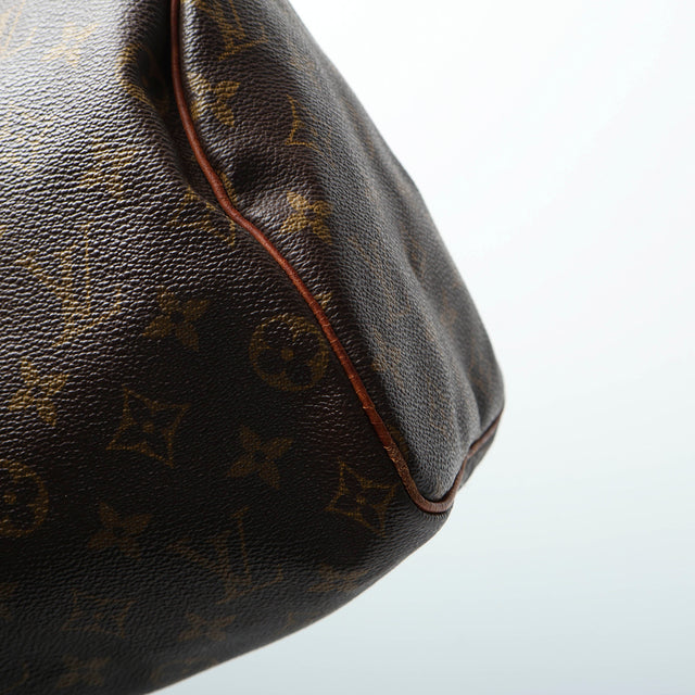 LOUIS VUITTON SPEEDY 25