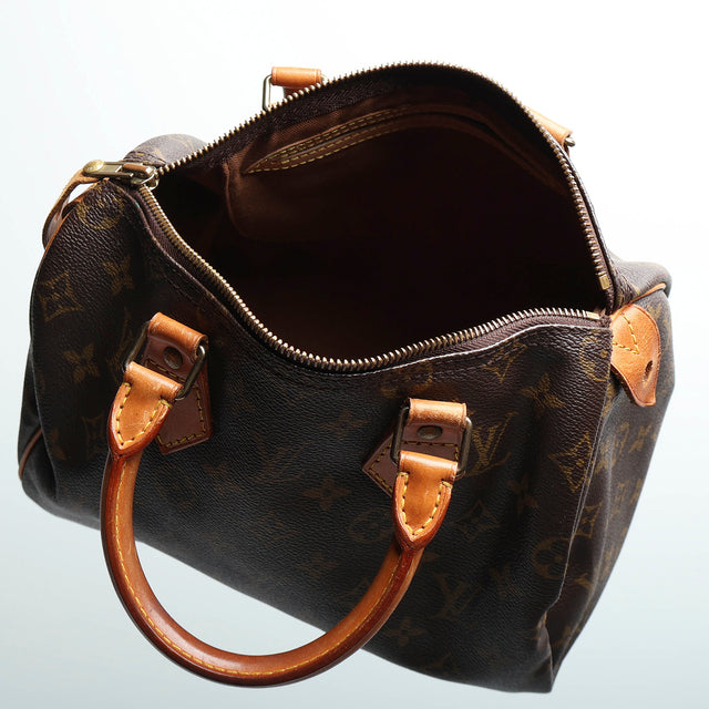 LOUIS VUITTON SPEEDY 25