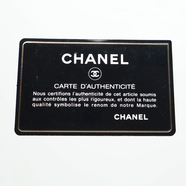 CHANEL PERFECT DAY TOTE BAG