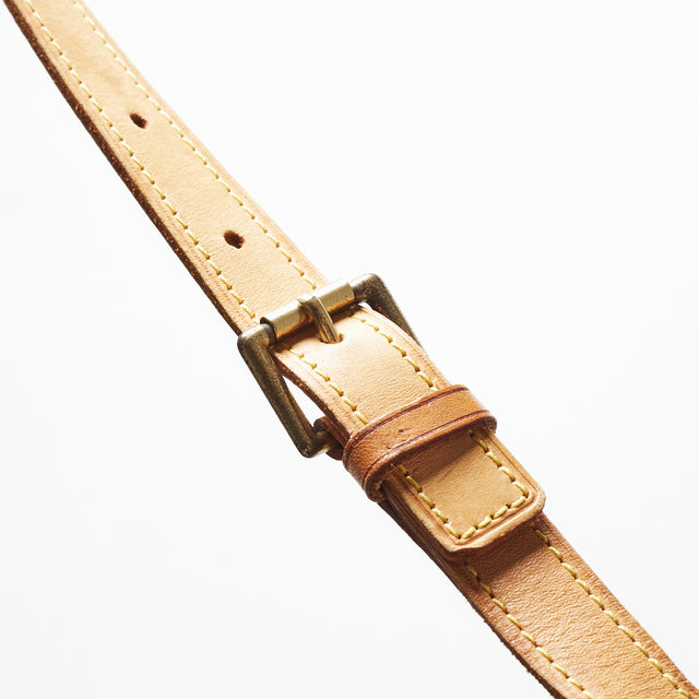 LOUIS VUITTON CROSSAINT BAG